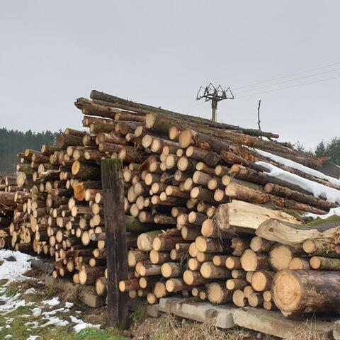 Hrdoňovice 23.1.2021 - skládka dřeva atd. p. Jebavého na p. č. 244-17, 3