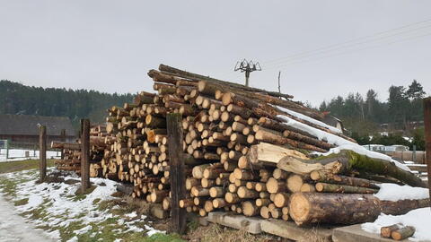 Hrdoňovice 23.1.2021 - skládka dřeva atd. p. Jebavého na p. č. 244-17, 3