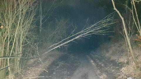Semínova Lhota, cesta k vodárně, spadlé stromy, večer 5.2.2020