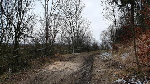 Semínova Lhota, cesta k vodárně uvolněna, ráno 6.2.2020
